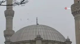 Iğdır Leylekleri Şehri Terk Etmedi