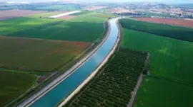 Çukurova’da Yağmur Tarım Ürünlerine Can Su Oldu