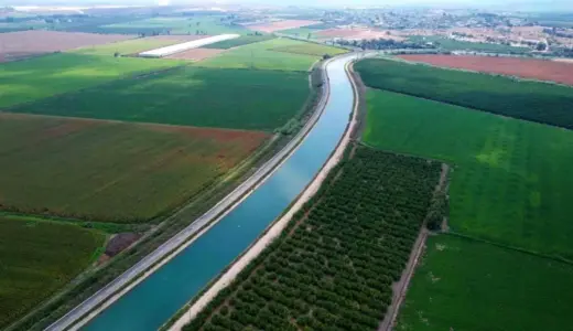 Çukurova’da Yağmur Tarım Ürünlerine Can Su Oldu