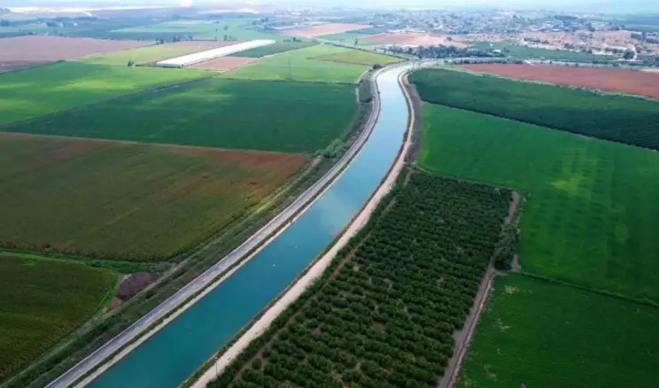Çukurova’da Yağmur Tarım Ürünlerine Can Su Oldu