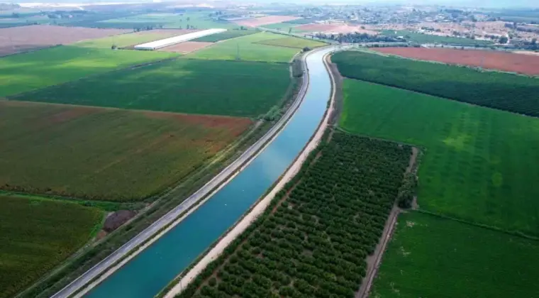 Çukurova’da Yağmur Tarım Ürünlerine Can Su Oldu