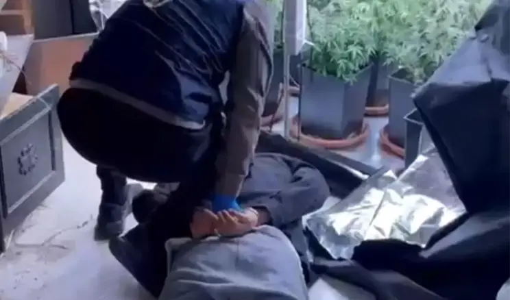 Adana’da Uyuşturucu Serası Baskını