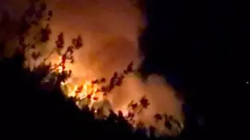 Adana ve Osmaniye’de Orman Yangınları