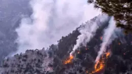 Adana’da Orman Yangını Kısmen Kontrol Altına Alındı