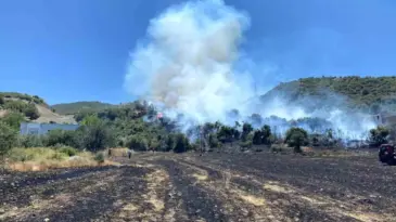 Osmaniye’de Anız Yangını Kontrol Altına Alındı