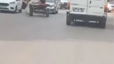 Adana’da Kontrolsüz At, Trafikte Kaza Yarattı