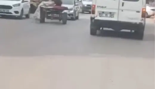 Adana’da Kontrolsüz At, Trafikte Kaza Yarattı