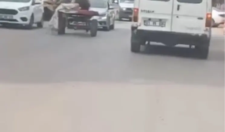 Adana’da Kontrolsüz At, Trafikte Kaza Yarattı