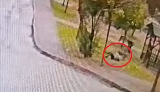 Sahipsiz 2 kurt köpeği, tasmayla gezdirilen evcil köpek ile sahibine saldırdı