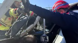 Adana’da Kamyon Şarampole Yuvarlandı